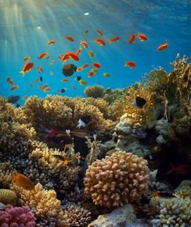 c1df8317bc4c3da23283ca2f295aa108